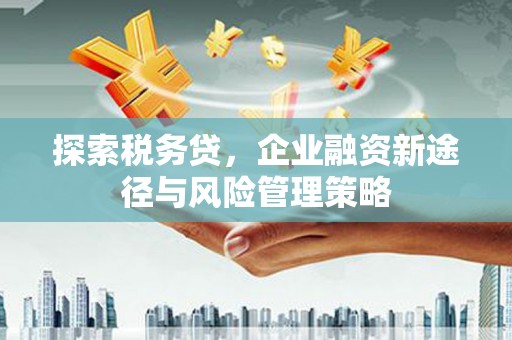 麻山探索税务贷，企业融资新途径与风险管理策略