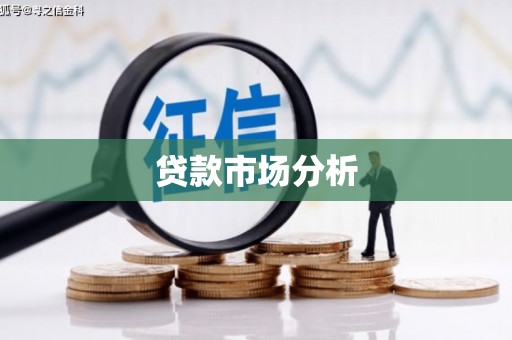 麻山贷款市场分析