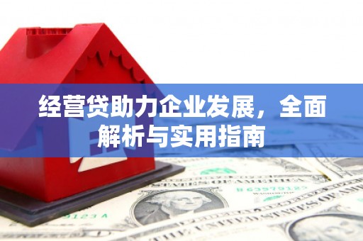 麻山经营贷助力企业发展，全面解析与实用指南
