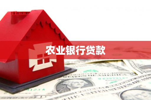 麻山农业银行贷款