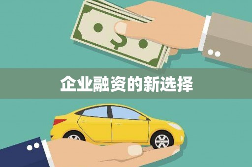 麻山企业融资的新选择