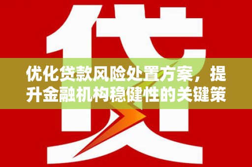 麻山优化贷款风险处置方案，提升金融机构稳健性的关键策略