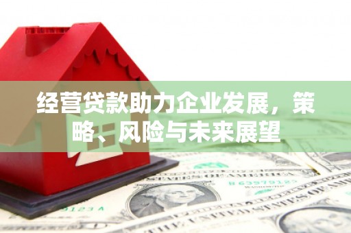 麻山经营贷款助力企业发展，策略、风险与未来展望
