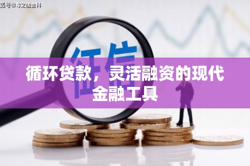 麻山循环贷款，灵活融资的现代金融工具
