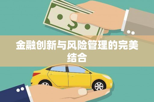 麻山金融创新与风险管理的完美结合