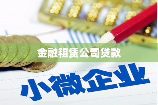 麻山金融租赁公司贷款