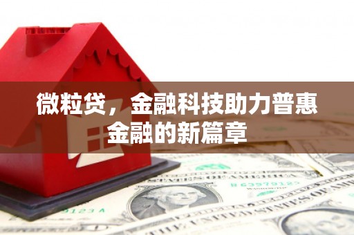 麻山微粒贷，金融科技助力普惠金融的新篇章