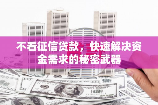 麻山不看征信贷款，快速解决资金需求的秘密武器