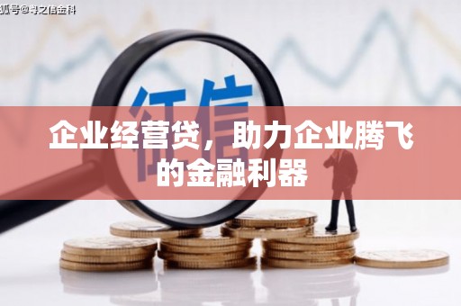 麻山企业经营贷，助力企业腾飞的金融利器