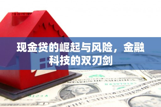 麻山现金贷的崛起与风险，金融科技的双刃剑