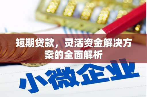麻山短期贷款，灵活资金解决方案的全面解析