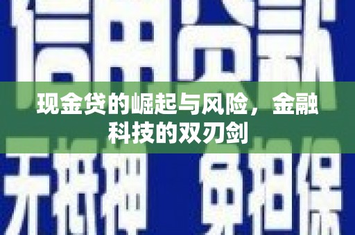 麻山现金贷的崛起与风险，金融科技的双刃剑