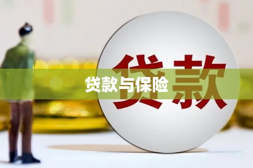 麻山贷款与保险