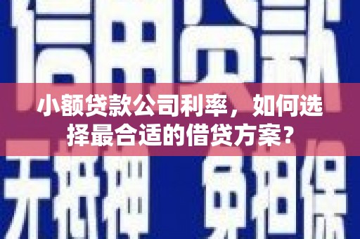 麻山小额贷款公司利率，如何选择最合适的借贷方案？