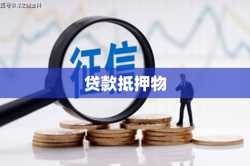麻山贷款抵押物