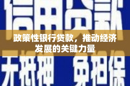 麻山政策性银行贷款，推动经济发展的关键力量