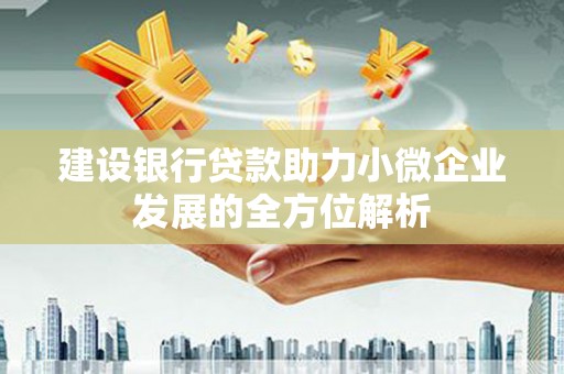 麻山建设银行贷款助力小微企业发展的全方位解析
