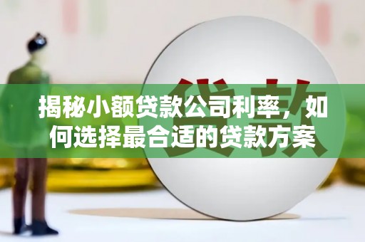 麻山揭秘小额贷款公司利率，如何选择最合适的贷款方案