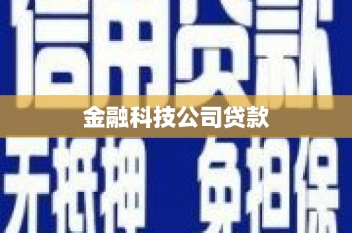 麻山金融科技公司贷款