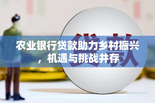 麻山农业银行贷款助力乡村振兴，机遇与挑战并存