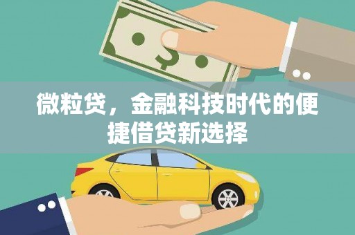 麻山微粒贷，金融科技时代的便捷借贷新选择