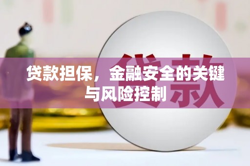 麻山贷款担保，金融安全的关键与风险控制