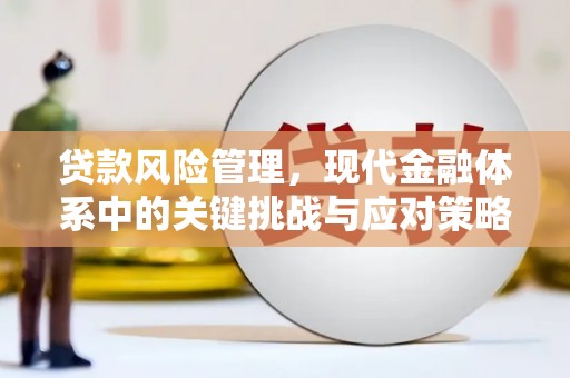 麻山贷款风险管理，现代金融体系中的关键挑战与应对策略
