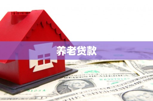 麻山养老贷款