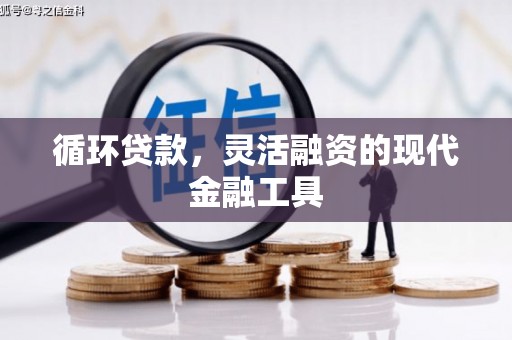 麻山循环贷款，灵活融资的现代金融工具