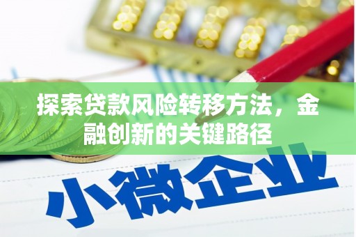 麻山探索贷款风险转移方法，金融创新的关键路径