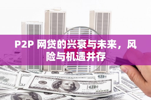 麻山P2P 网贷的兴衰与未来，风险与机遇并存
