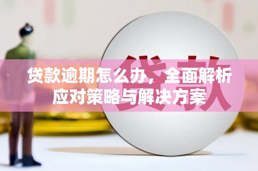 麻山贷款逾期怎么办，全面解析应对策略与解决方案