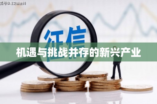 麻山机遇与挑战并存的新兴产业