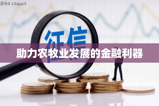 麻山助力农牧业发展的金融利器