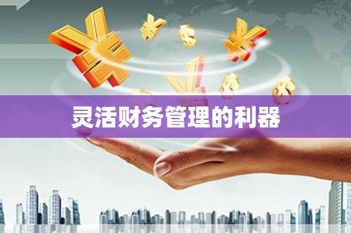 麻山灵活财务管理的利器