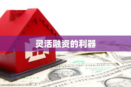 麻山灵活融资的利器