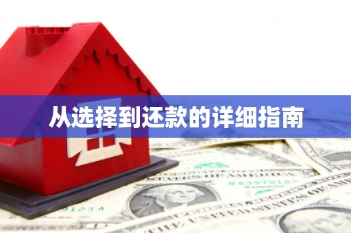 麻山从选择到还款的详细指南