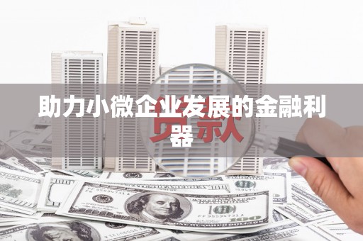 麻山助力小微企业发展的金融利器