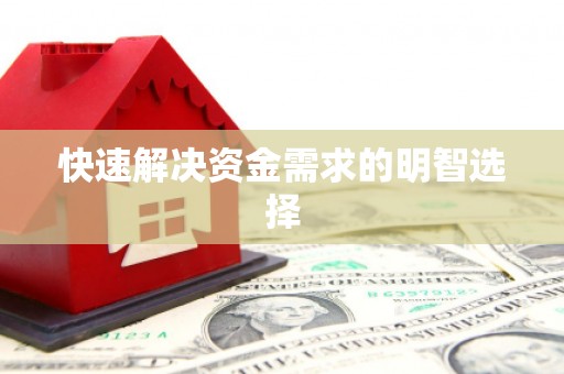 麻山快速解决资金需求的明智选择