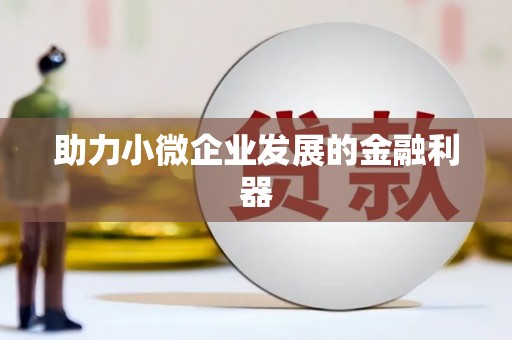 麻山助力小微企业发展的金融利器