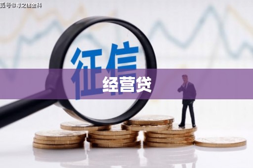 麻山经营贷