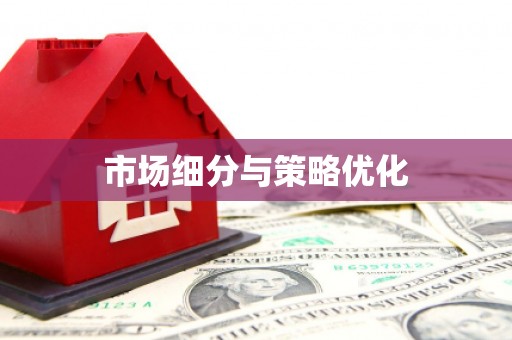 麻山市场细分与策略优化