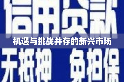 麻山机遇与挑战并存的新兴市场
