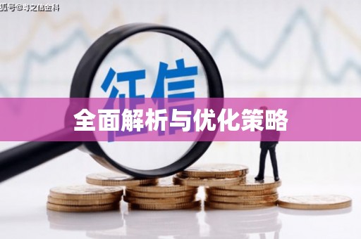 麻山全面解析与优化策略