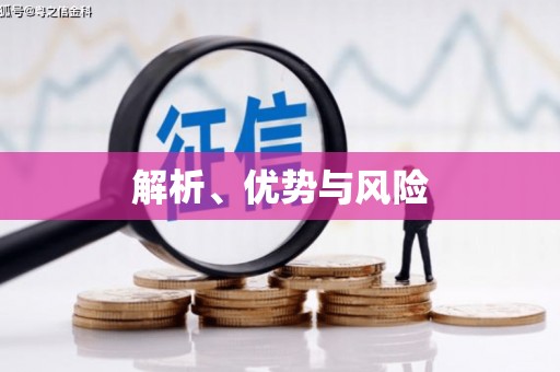 麻山解析、优势与风险