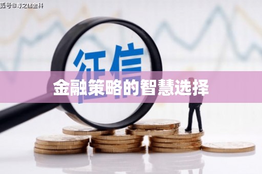 麻山金融策略的智慧选择