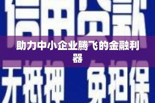 麻山助力中小企业腾飞的金融利器