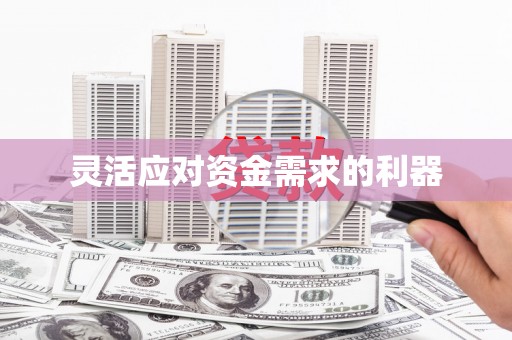 麻山灵活应对资金需求的利器