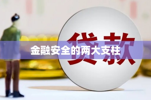 麻山金融安全的两大支柱