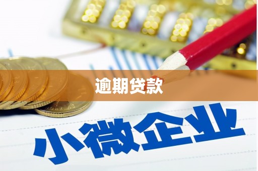 麻山逾期贷款